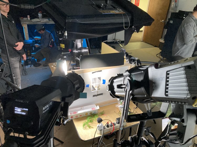 IMG 4410 - BENJAMIN MOORE - Otherworldly Productions Staging Site